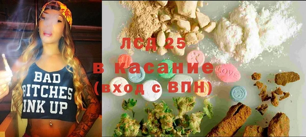 шишки Аркадак